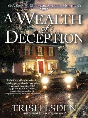 cover image of A Wealth of Deception